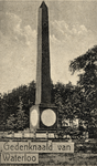 602400 Gezicht op de gedenknaald aan de Torenlaan te Soestdijk (gemeente Baarn) ter herdenking van de Slag bij ...